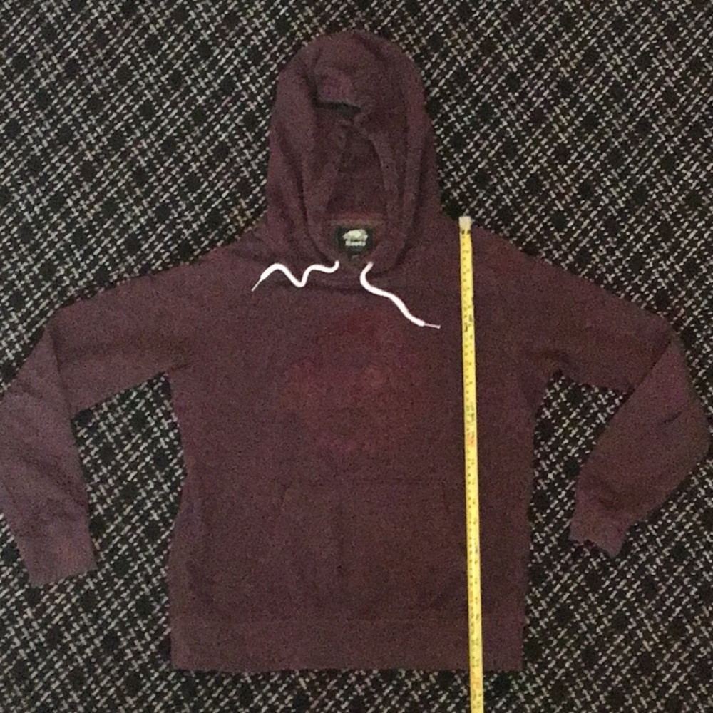 Roots Canada burgundy velvet logo hoodie